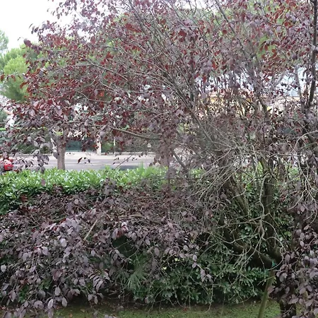 Monika 12 Beatrice Апартаменты Бардолино