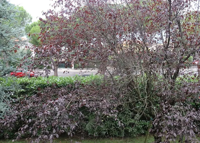 Monika 12 Beatrice Апартаменты Бардолино