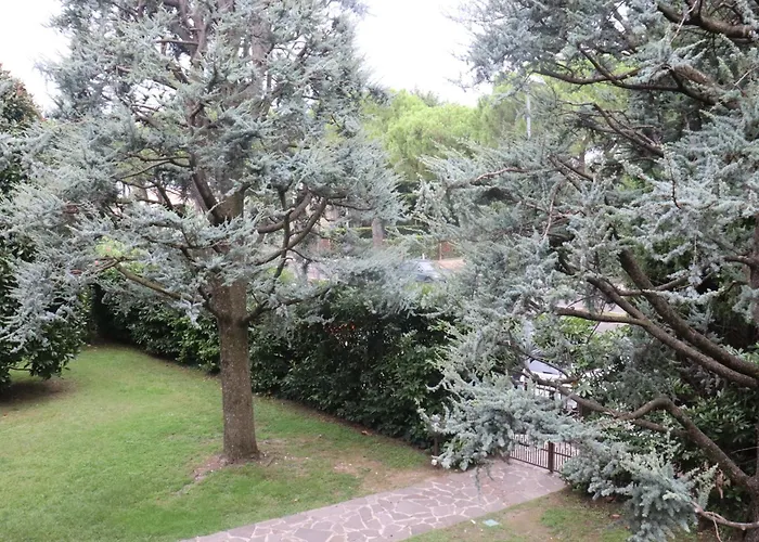 Monika 12 Beatrice Бардолино