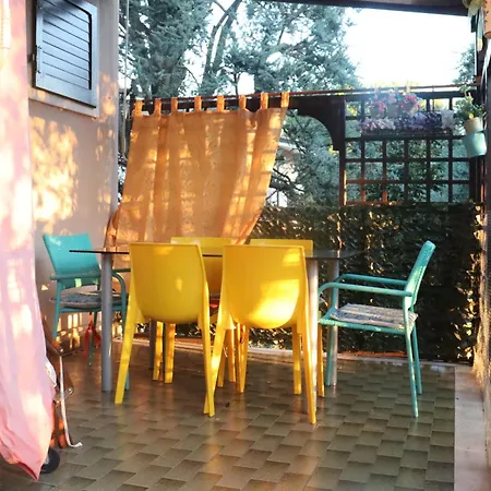 Monika 12 Beatrice * 巴多利诺