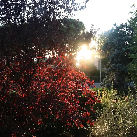 Lejlighed Monika 12 Beatrice *