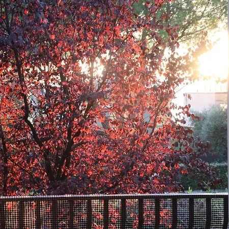 Monika 12 Beatrice 公寓 *