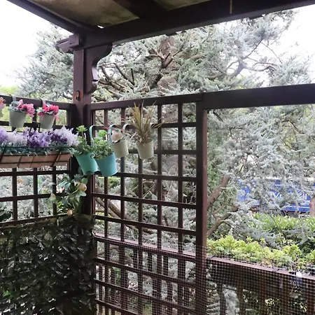 公寓 Monika 12 Beatrice 巴多利诺