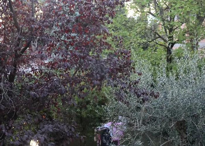 Monika 12 Beatrice Bardolino