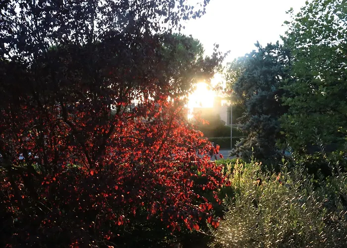 アパート Monika 12 Beatrice *