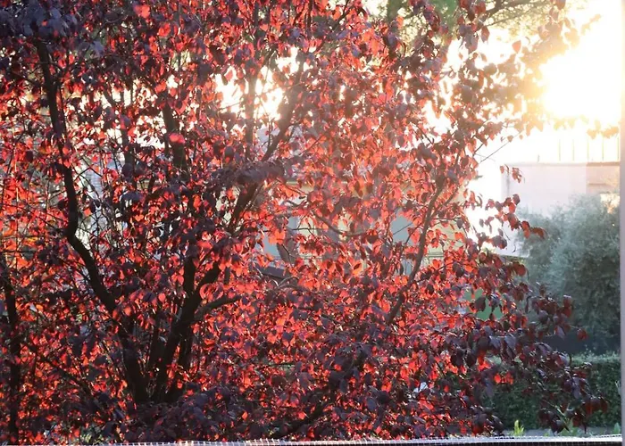 Monika 12 Beatrice Daire *