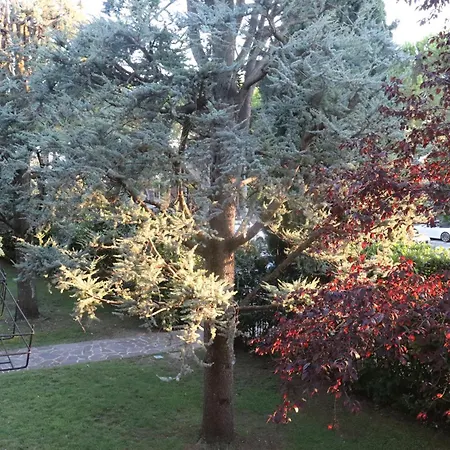 Monika 12 Beatrice Διαμέρισμα Μπαρντολίνο